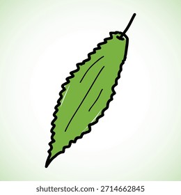 Vector de calabaza amarga verde pintado a mano en un estilo de arte infantil ingenuo. Ideal para la salud, la medicina herbal, la cocina asiática, la comida orgánica, o proyectos de diseño de vegetales juguetones. Gráfico distintivo verrugoso
