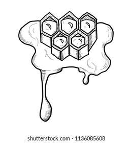 hand-painted honeycomb,sweet honey, vector image,black and white drawing