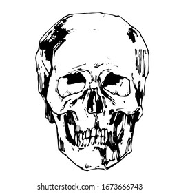 Hand-painted Human skull vector illustration at ink style