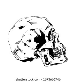 Hand-painted Human skull vector illustration at ink style