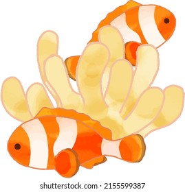 Hand-painted illustration material of clownfish and sea anemone watercolor