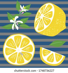Hand-painted illustration of ring-cut lemons, flowers and leaves.