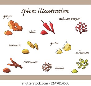 Hand-painted illustration set of various spices