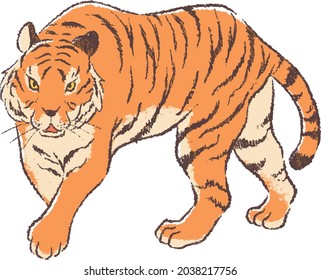 Hand-painted illustration of a tiger looking here