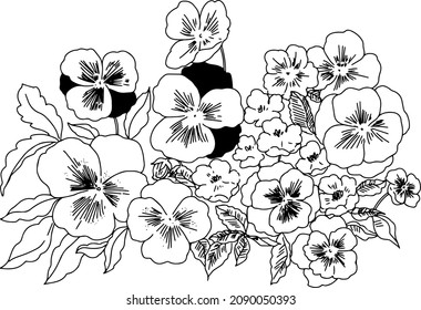 Hand-painted pansies and viola flower fields