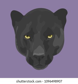 Hand-painted puma face