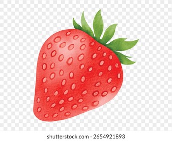 Hand-painted ripe strawberry illustration for summer fruit and dessert. vector.