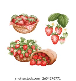 Ilustrações de morango pintadas à mão, incluindo cestas, cachos e sacos de papel.
Ótimo para produtos agrícolas, alimentos orgânicos, embalagens e designs de mercado rural. Ilustração vetorial.