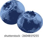 A hand-painted vector illustration of two juicy blueberries, featuring rich shading and a watercolor-like effect. The berries appear plump, fresh, and full of antioxidants.