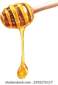 Hand-Painted Watercolor Honey Dripping from Stick Botanical vector illustrations
