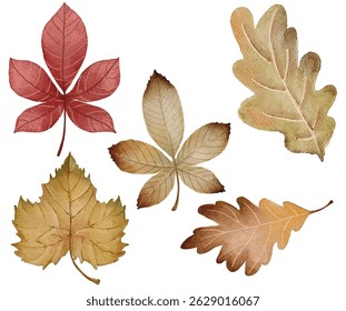 Hand-painted watercolor illustration of autumn leaves in warm tones, isolated on white. Ideal for seasonal designs, invitations, scrapbooking, and fall-themed prints.