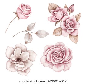 Illustration à l'aquarelle peinte à la main de roses roses délicates aux pétales doux et aux feuilles vertes. Isolé sur du blanc, parfait pour les cartes de voeux, les invitations, les emballages et les projets de design.