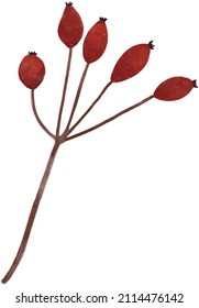 Handpainted watercolor illustration of natural floral branch. Ideal for print, graphic design, scrap booking, stickers, collage, cards and other creative projects