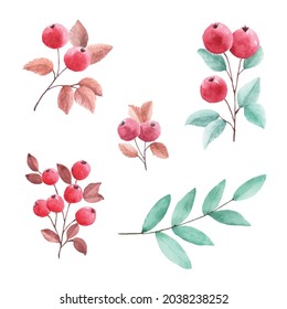 Hand-painted watercolor illustration. set of autumn elements rowan berries perfect for design decorative in the autumn festival. greeting cards, invitations, posters.