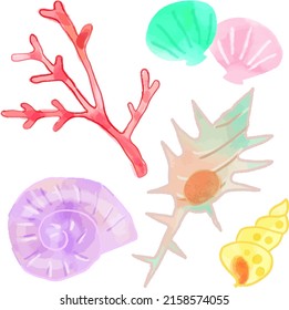 Hand-painted watercolor illustration set of seashells and coral