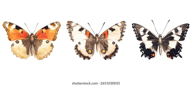 Ilustração em aquarela pintada à mão de três espécies distintas de borboletas isoladas no fundo branco, ideal para impressões da natureza, materiais educacionais, papelaria e arte de parede.