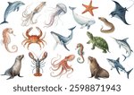 Hand-painted watercolor illustrations of marine animals, including dolphins, whales, sharks, sea turtles, jellyfish, and octopuses. Ideal for ocean-themed decor, educational materials