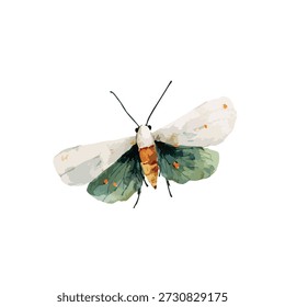 Hand-painted watercolor moth vector, featuring delicate green and orange wings. Ideal for nature-inspired designs, children's books, or decorative elements.