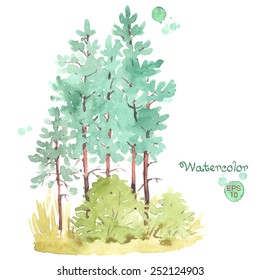 Hand-painted watercolor painting of young pine-tree forest, isolated on white background. Vector illustration.