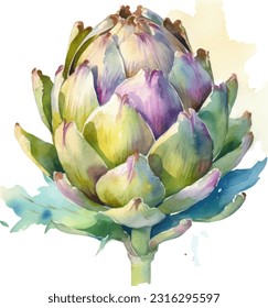 Handpainted watercolor poster with artichokes isolated on white background