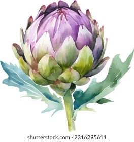 Handpainted watercolor poster with artichokes isolated on white background