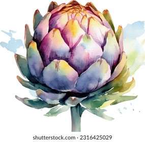 Handpainted watercolor poster with artichokes isolated on white background