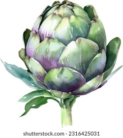 Handpainted watercolor poster with artichokes isolated on white background