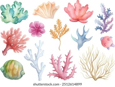 Hand-painted watercolor set of various marine plants and corals.