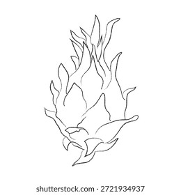 Conjunto de diseño de pintura a mano, formato EPS, dibujo de líneas de dragón de Vector de boceto, dibujo de contorno para dibujo de dragón, conjunto de iconos dibujados a mano de Doodle, dibujo de contorno de rama de dragones, dibujo de contorno de dragón, conjunto de diseño de Vector