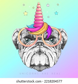 Handrawing animal bulldog wearing cute glasses with unicorn horn. T-shirt graphic print. Vector illustration