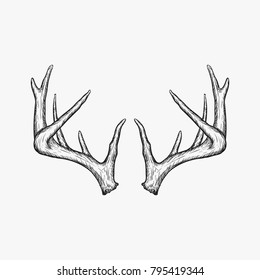 Handrawn antler vector illustration isolated on white background, Hunting logo design inspiration