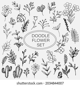 handrawn collection of plants and flowers. Monochrome vector illustrations. Vector set of hand drawn doodle flowers, florals, leaves. Line drawing. Botanical elements for design