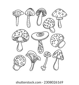 conjunto de vectores de ilustración de garrapatas