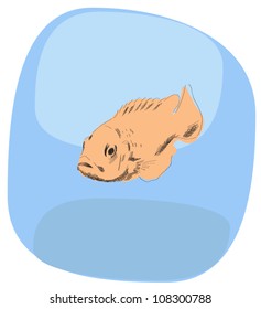 Handrawn fish underwater