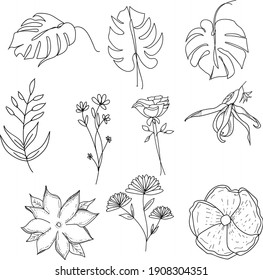 Handrawn Floral Flower Lineart, for your background, Element, or Ornament 