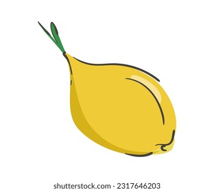 Handrawn onion isolated on a white background. Vector illustration. Colorful and minimalistic. For sticker and design.
