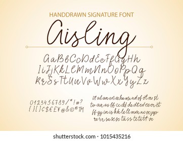 Handrawn vector alphabet. Modern calligraphic font. Brush painted abc with ligatures.