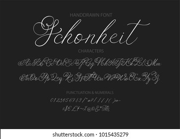 Handrawn vector alphabet. Modern calligraphic font. Brush painted letterswith decorative swashes.
