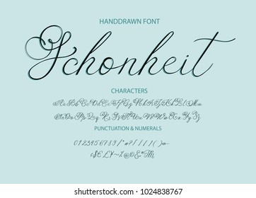 Handrawn vector alphabet. Modern calligraphic font. Brush painted letters.