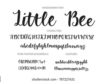 Handrawn vector alphabet. Modern calligraphic font. Brush painted abc with ligatures.