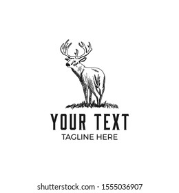 handrawn vintage deer, vector illustration