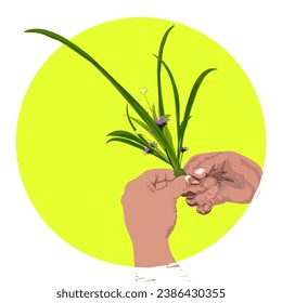 manos arreglando flores y hierba silvestre, en un círculo amarillo, sin fondo