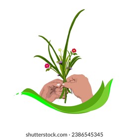 manos arreglando flores y hierba silvestre, sin fondo