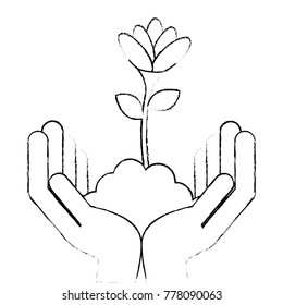 hands with beautiful flower in grown