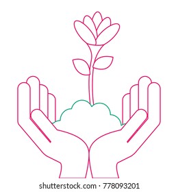 hands with beautiful flower in grown