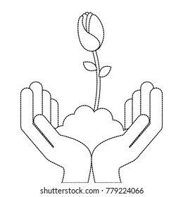 hands with beautiful rose in grown