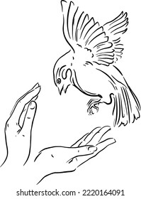 hands, bird vector illustration design
