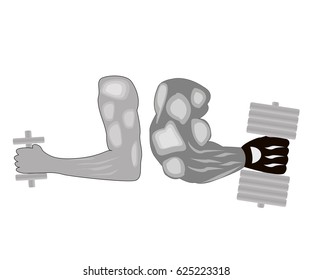 Hands of a bodybuilder with a dumbbell, vector illustration on a white background