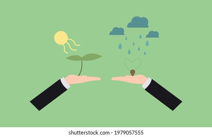 hands of business people with a young sprout and seed over which rain and bright sun on a green background harvest and agriculture concept