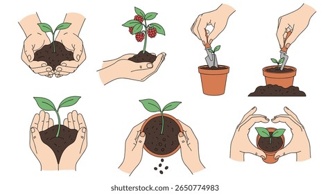 Mãos cuidadosamente plantando mudas e mudas para agricultura e crescimento sustentáveis